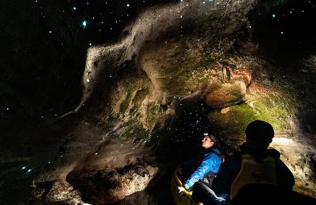 Glow Worm Kayak Tour