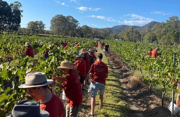 Full Day Private Wine Tour Exclusively Tailored To Suit You