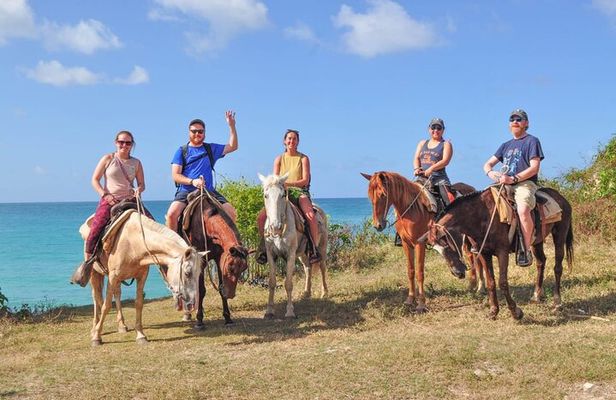 ATV or buggy Ride, Cenote, Coffee Tasting & Horse Back Riding