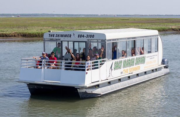 Salt Marsh Safari Birding and Wildlife Cruise on The Skimmer