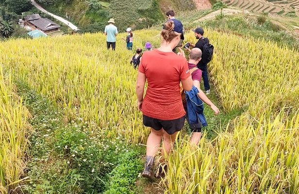 Full Day Trekking Mu Cang Chai