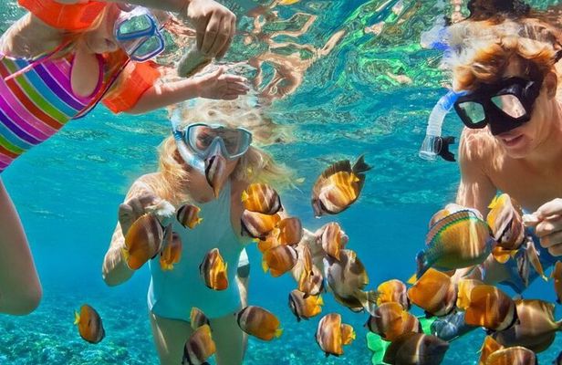 Customized Snorkeling with shopping & Lunch Stop Montego Bay