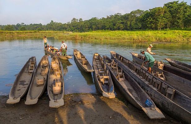 Private Jeep Safari - Canoeing - Jungle Walk in Chitwan 
