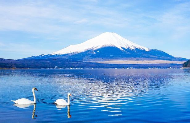 Full Day Tour at Mt. Fuji, Onsen, Lake Kawaguchi and Yamanaka