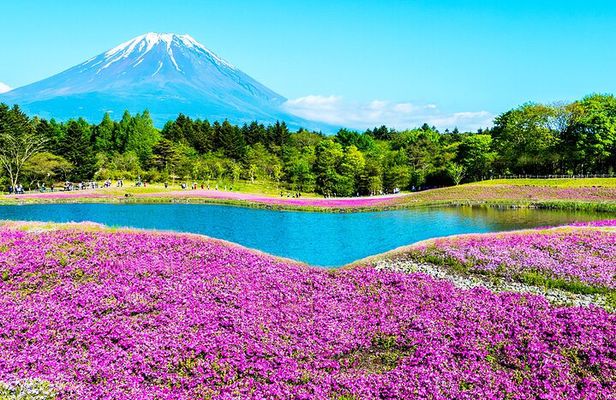 Mt. Fuji 5th, Oshino Hakkai, Onsen Full-Day Trip From Tokyo