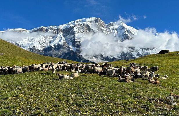5 Day Siklesh Kori Trek