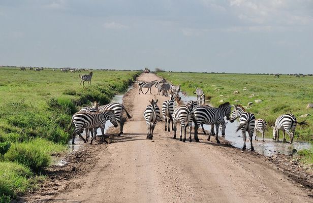 2 Days Camping Group Joining Tarangire Ngorongoro Crater Safari