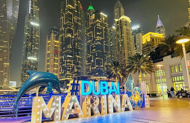 Night City Tour of Dubai