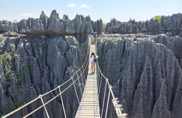 Tsingy of Bemaraha, Kirindy Forest and Avenue of Baobab - 04 Days
