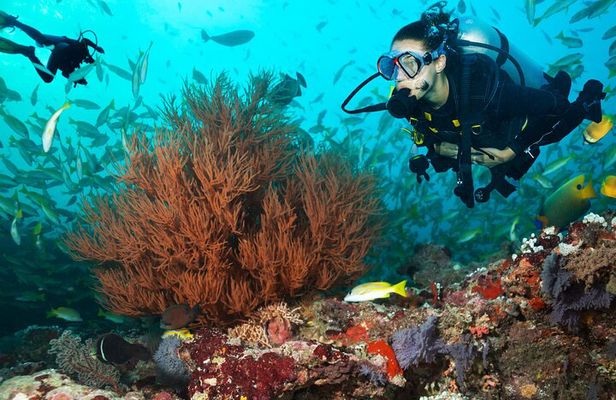 Try Scuba Diving in Kauai From a Boat for Non-Certified Divers