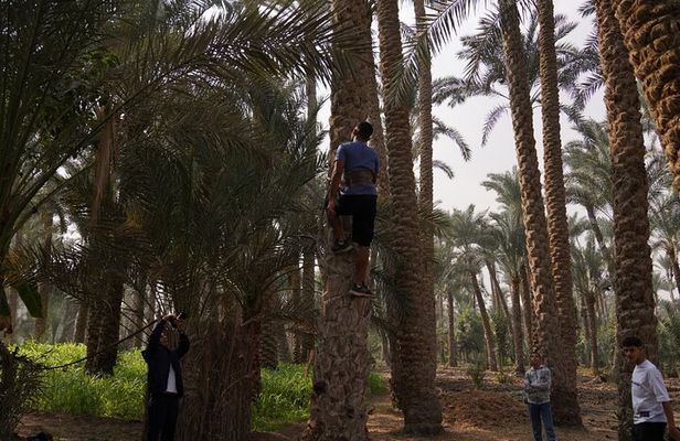 A day like a farmer in Dahsure countryside with locals
