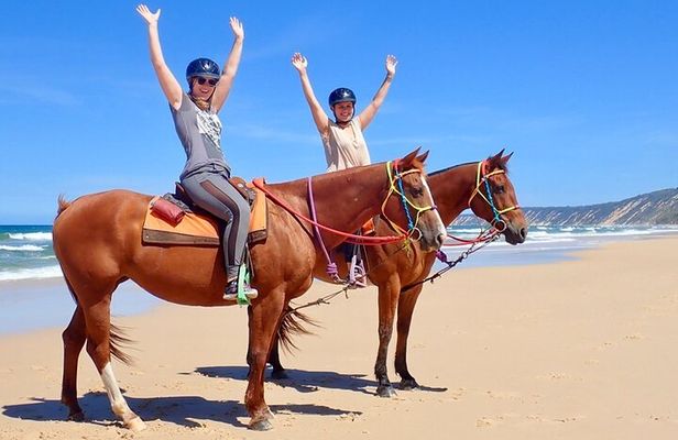 Seaside Adventure: Horse Or Camel Ride With Private Transfers