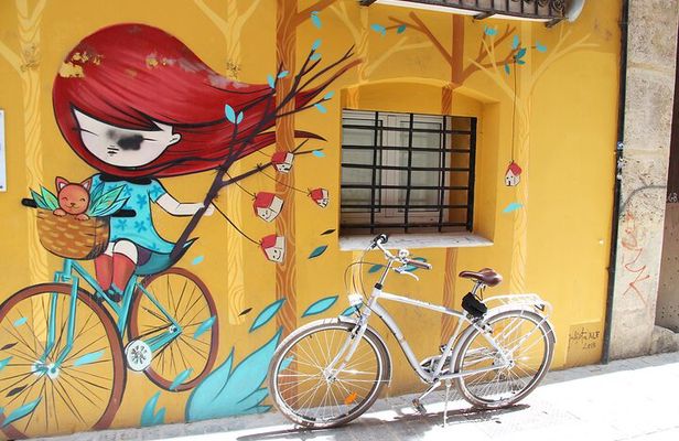 Valencia Street Art | Small Group Guided Tour by Bike