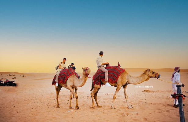 Abu Dhabi Morning Desert Safari: 4x4 Dune Bashing, Camel Ride and Sandboarding