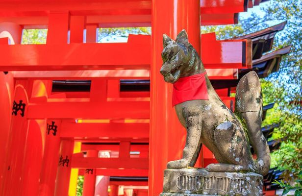 Fushimi Inari Deep Shinto Shrine Tour while Hiking with Expert 
