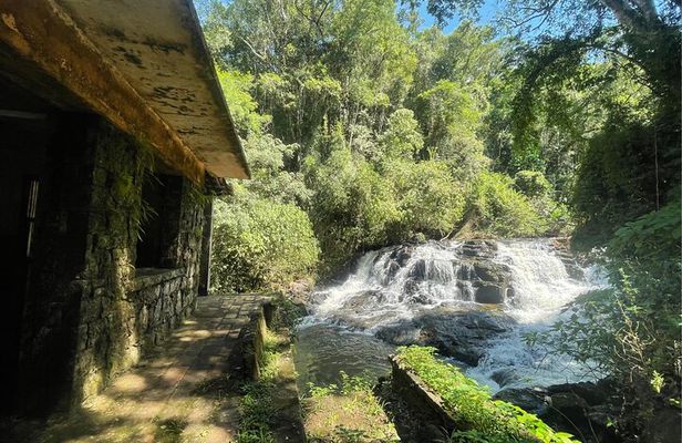 Explore Trails in the Atlantic Forest at the Brazilian Falls