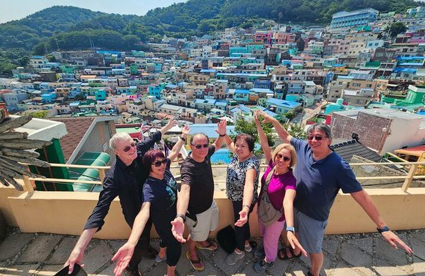 Private Minibus Tour in Busan for Cruise Ship Guests 8-15 People