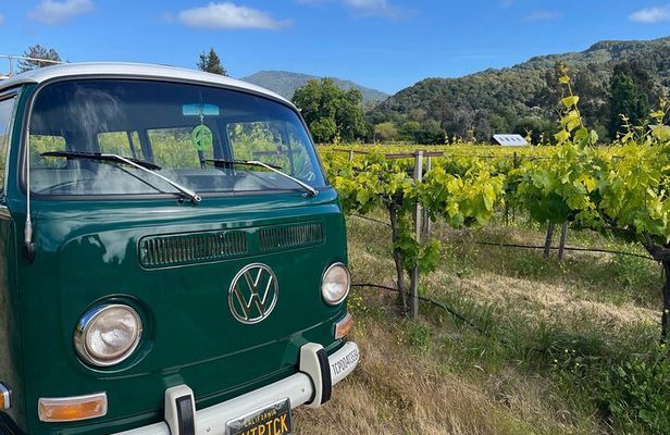 Carmel Valley Wine Tour in a Vintage VW Bus