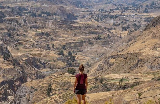  2 Days Colca Canyon Tour with Transfer to Puno 