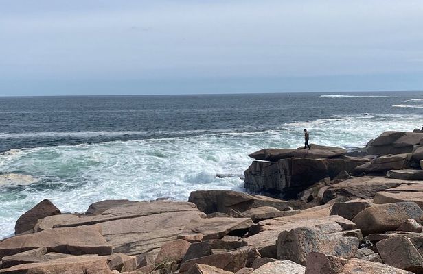 Experience Acadia: Private 3-hr tour with local guide.