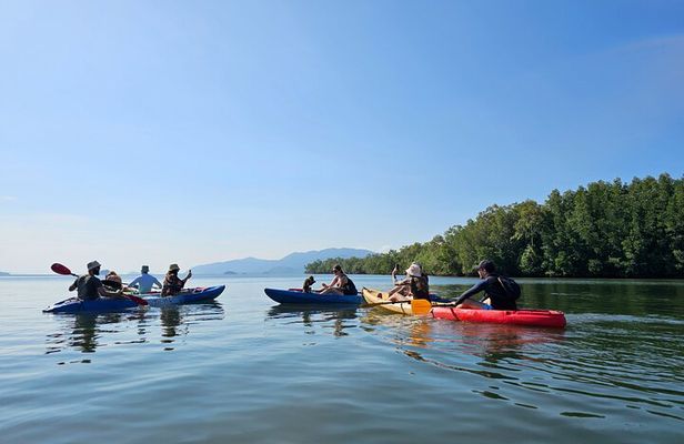 Half Day Mangrove and Lanta Old Town Tour