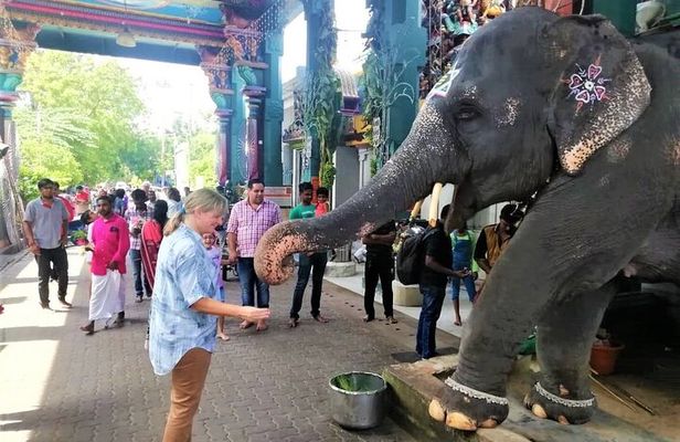 Full Day Guided Tour of Pondicherry with lunch and hotel pickup