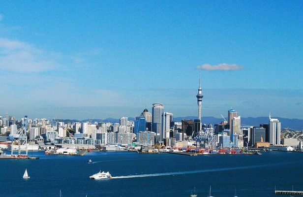 Auckland City Top Spots Half Day Tour(Small Group Tour)