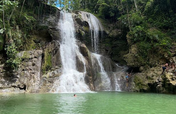 Tropical Rainforest Luxury Experiences