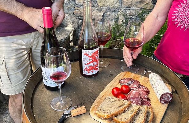 Visit to the Faugères Vineyards with Picnic from Béziers
