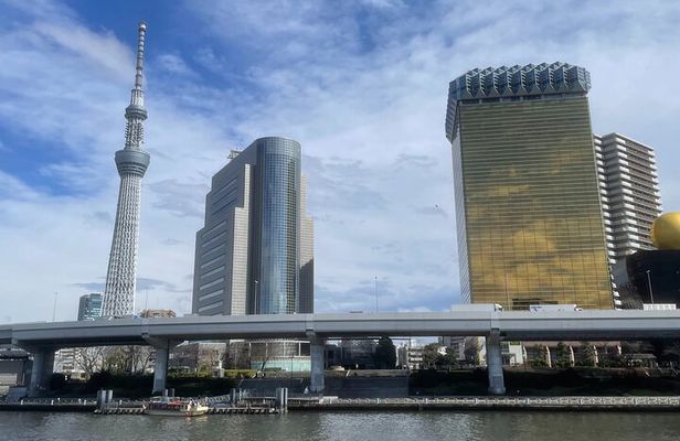 Private Tokyo Tour with Local Guide