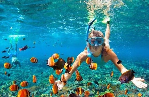 Private Montego Bay Snorkeling Tour with Boat Ride & Transport