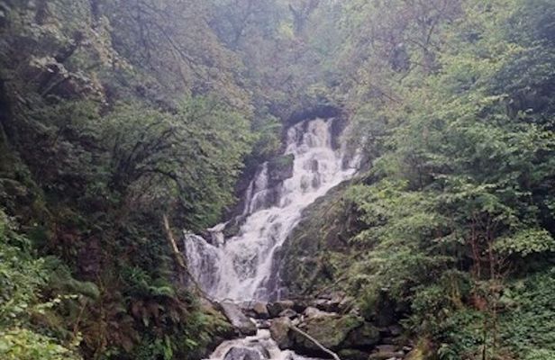 Private Ring of Kerry Tour from Cork City