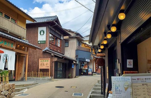 Himeji Castle, Arima Onsen and Mt. Rokko Day Tour from Osaka