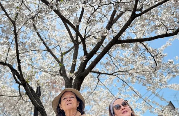 Kyoto Exploration with an Accredited Government Guide