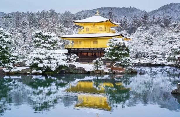 Golden Pavilion Kiyomizu Temple and Fushimi Inari Shrine Tour