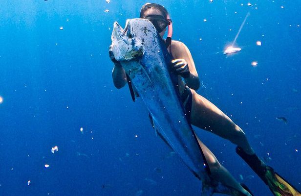 Offshore Fishing or Spearfishing Charter at Playa Herradura