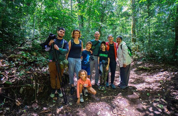 Monteverde Cloud Forest Reserve Guided Walk