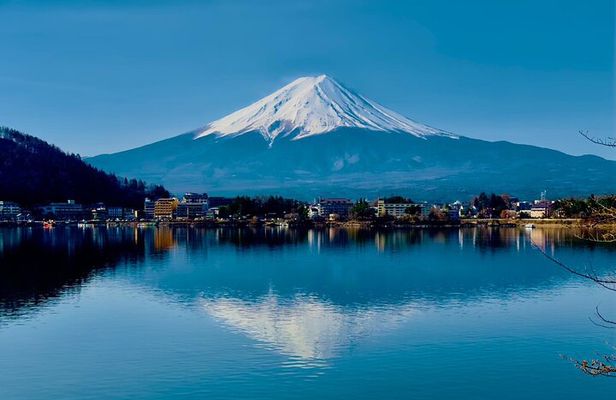 VIP Mt. Fuji & Hakone Attractive Private Day Tour