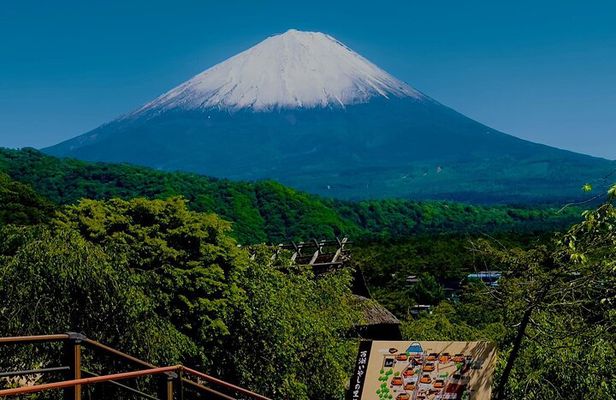  VIP Mt. Fuji, Lake Kawaguchiko & Ice Cave One Day Tour 