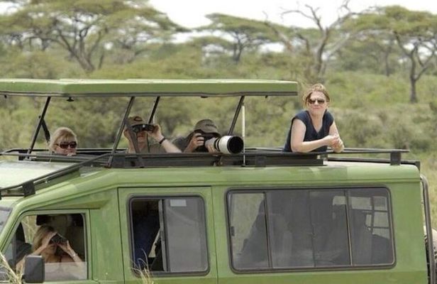 2 Days Golden Monkey Trekking Tour and Akagera Wildlife Safari