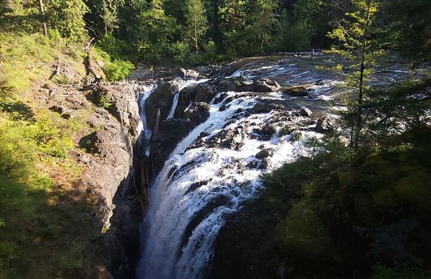 Wildlife, Waterfalls, Caves, Old Growth on Vancouver Island