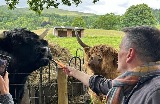 Hidden Gems & Highland Cows: Family-friendly Private Day Tour