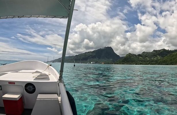 Private Lagoon Exploration and Snorkeling in Moorea