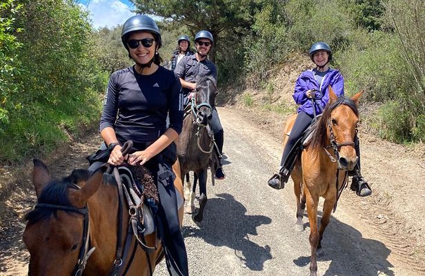Ride in the Andes Mountains
