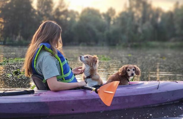 Xochimilco Sunrise Tour: Kayak at the Magic Morning Light