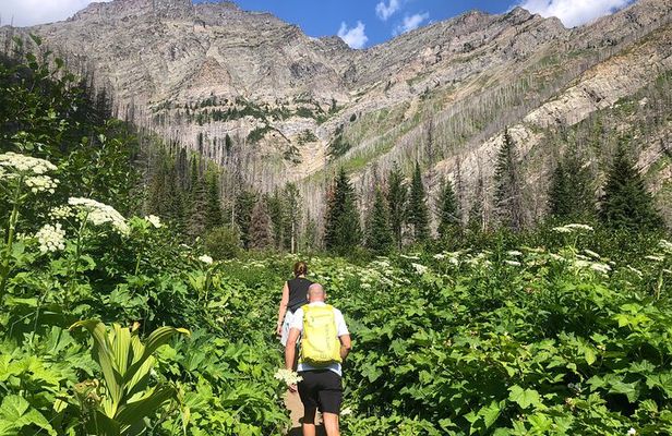 Waterton Bertha Lake Hike