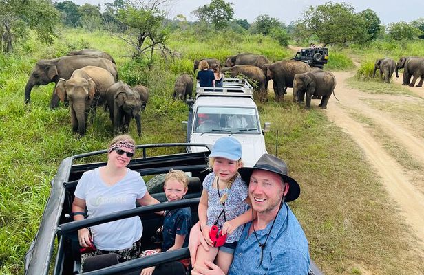 Minneriya National Park Half day Jeep Safari with Hotel Pickup