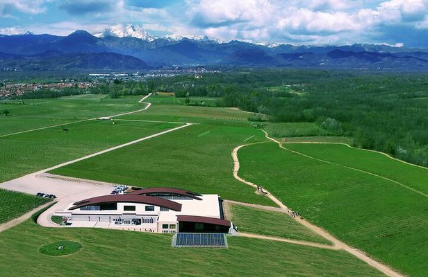  Wine Experience of Nebbiolo in Alto Piemonte 