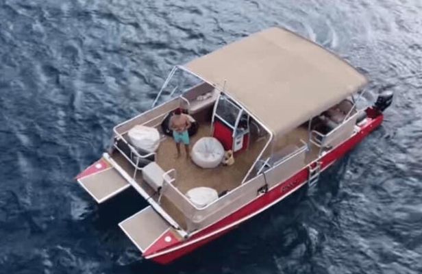Turtles Guaranteed! Fuel Price Included. Smooth, Comfortable Ride