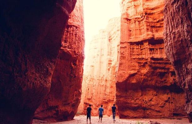 Excursion to Cafayate & Wine Country from Salta